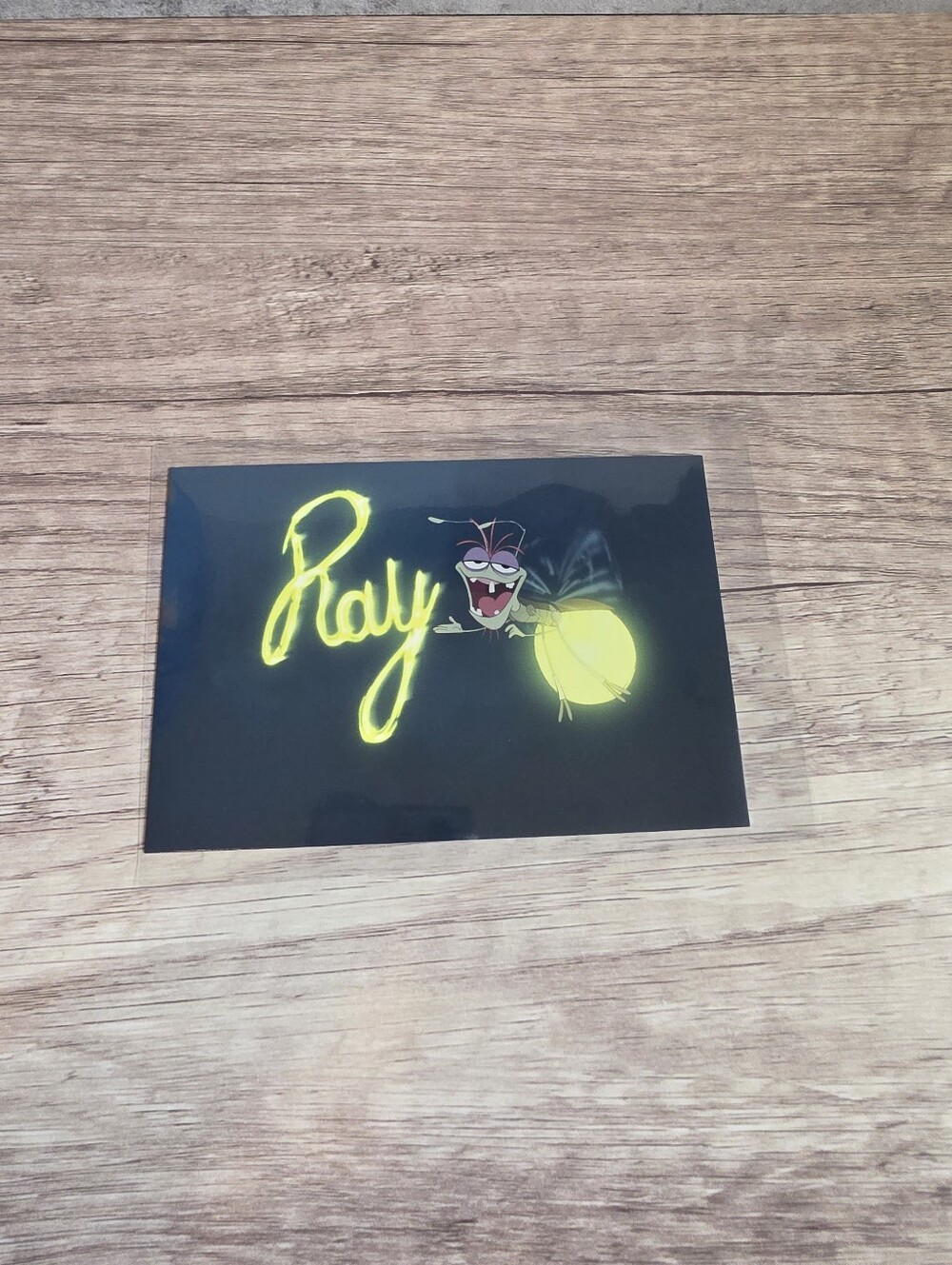 ✨️BUY 3 FOR $22 Ray, The Princess And The Frog, 2009 Postcard